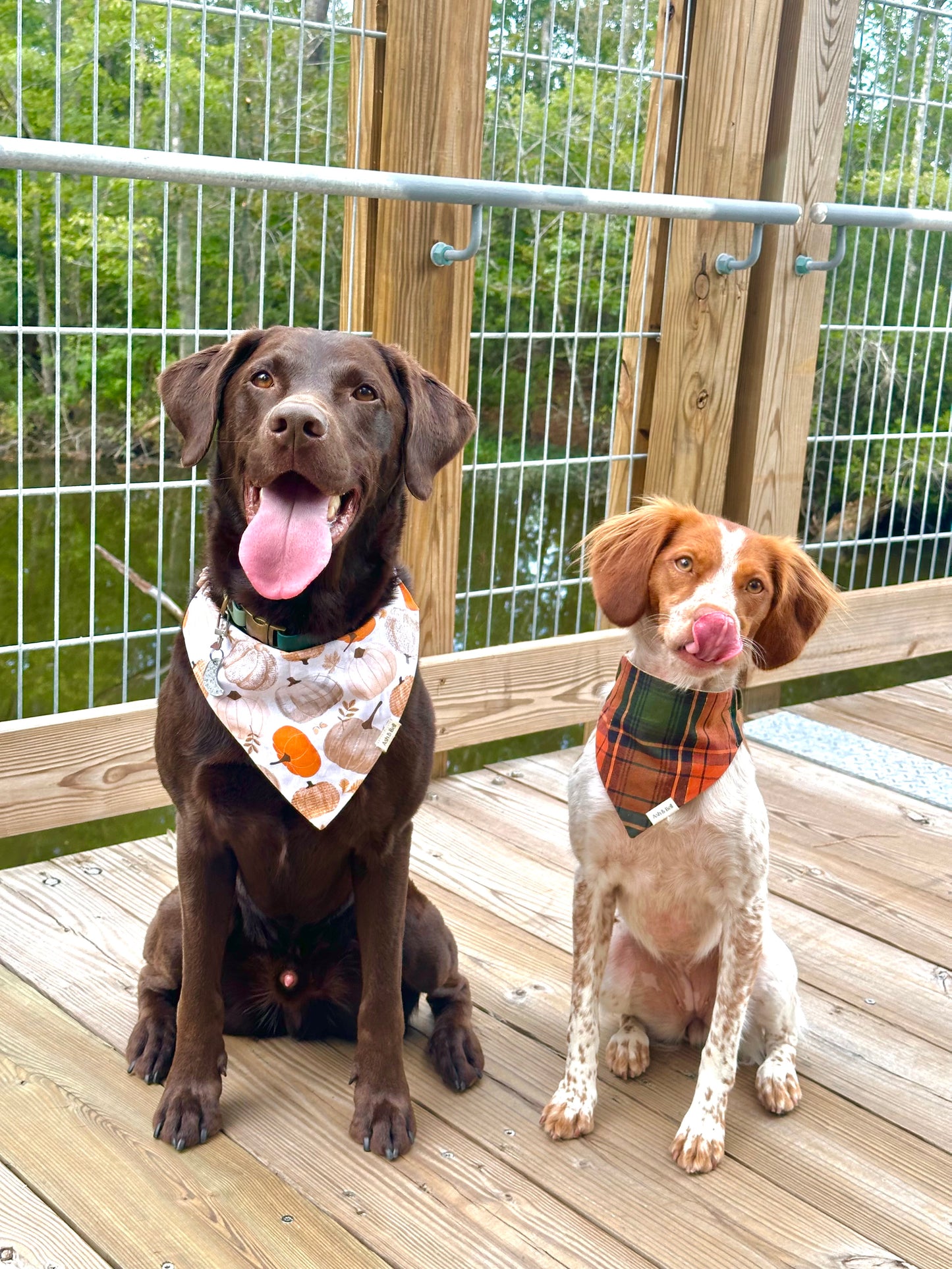 Pumpkin Spice and Orange Plaid Reversible Scrunchie Pet Bandana