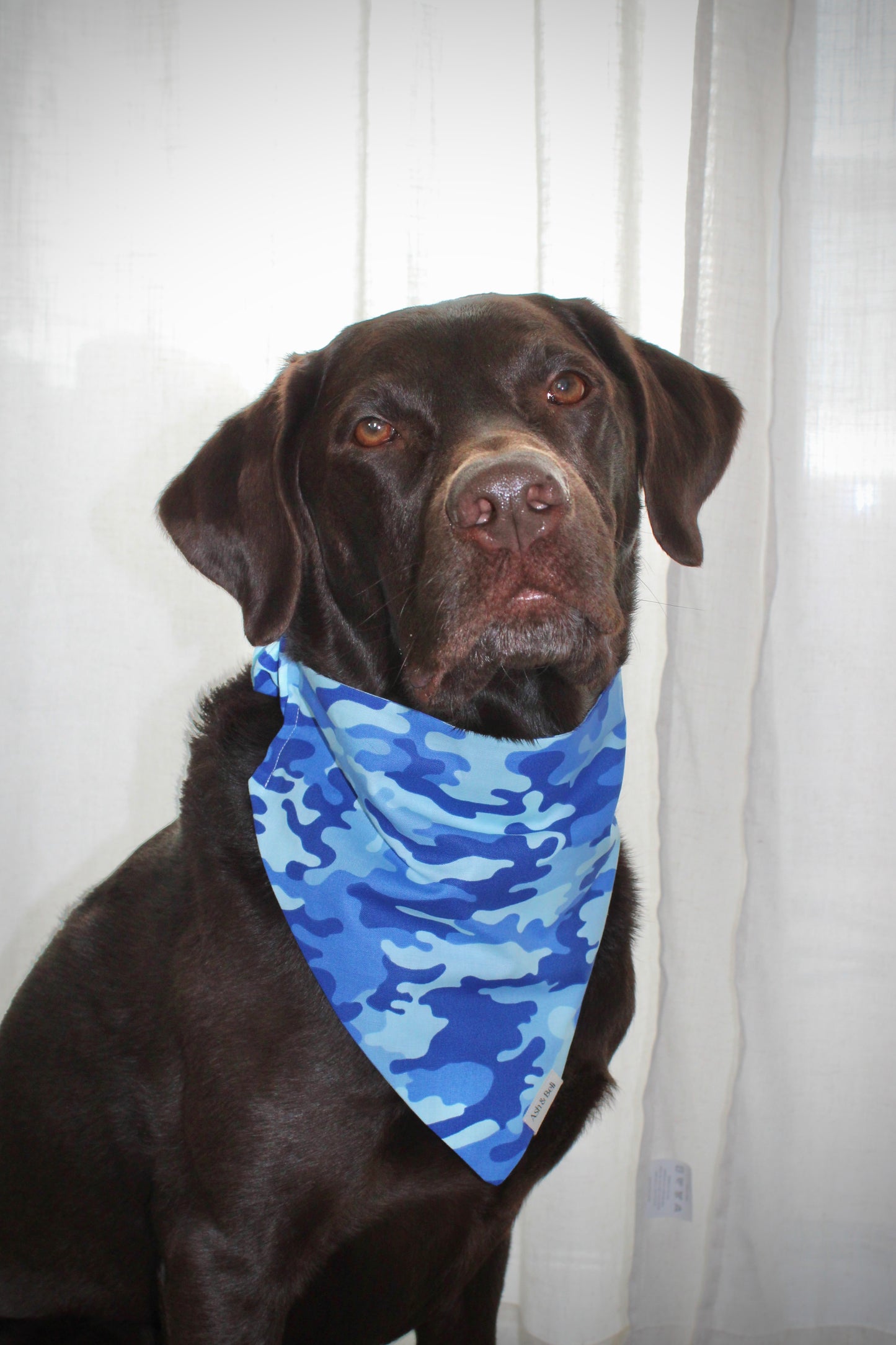 Blue Camo Print Scrunchie Pet Bandana