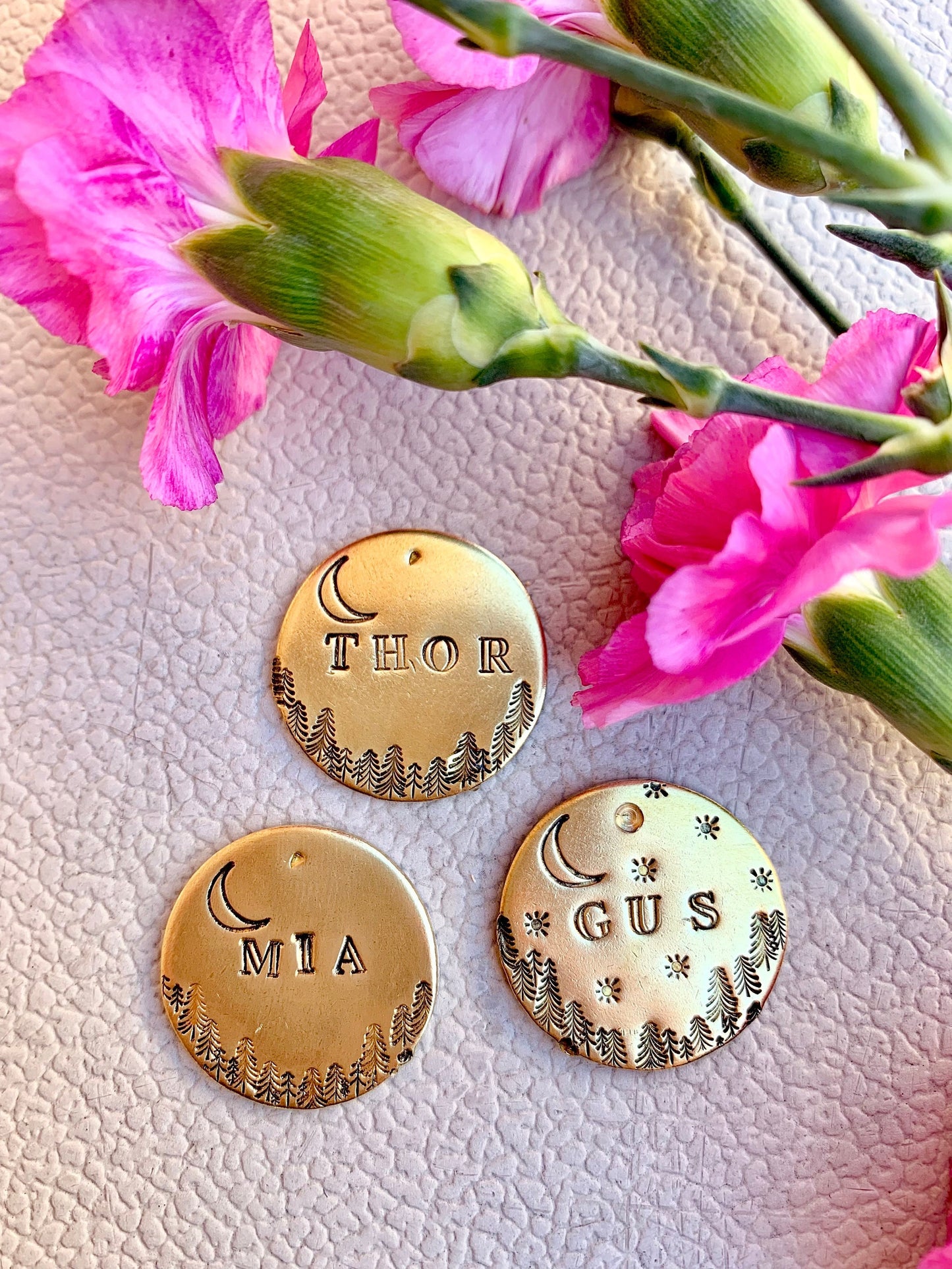 Midnight Forest Moon Brass Pet ID Tag… with or without stars
