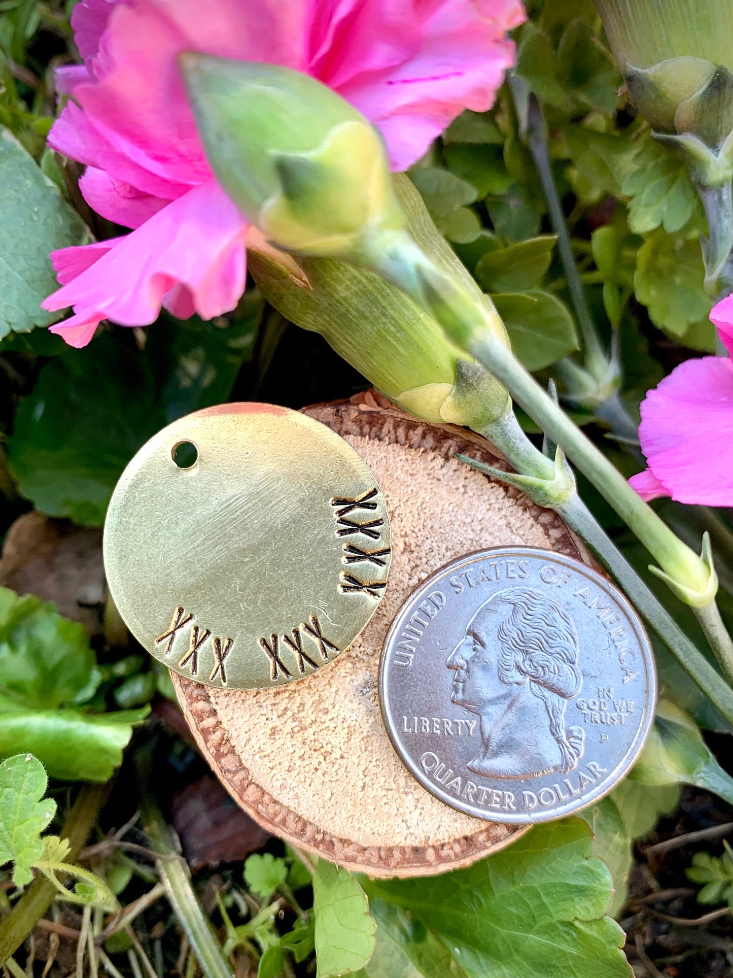 Midnight Forest Moon Brass Pet ID Tag… with or without stars