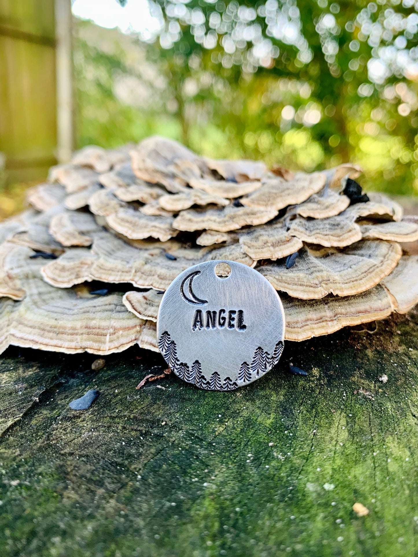 Midnight Forest Moon Brass Pet ID Tag… with or without stars