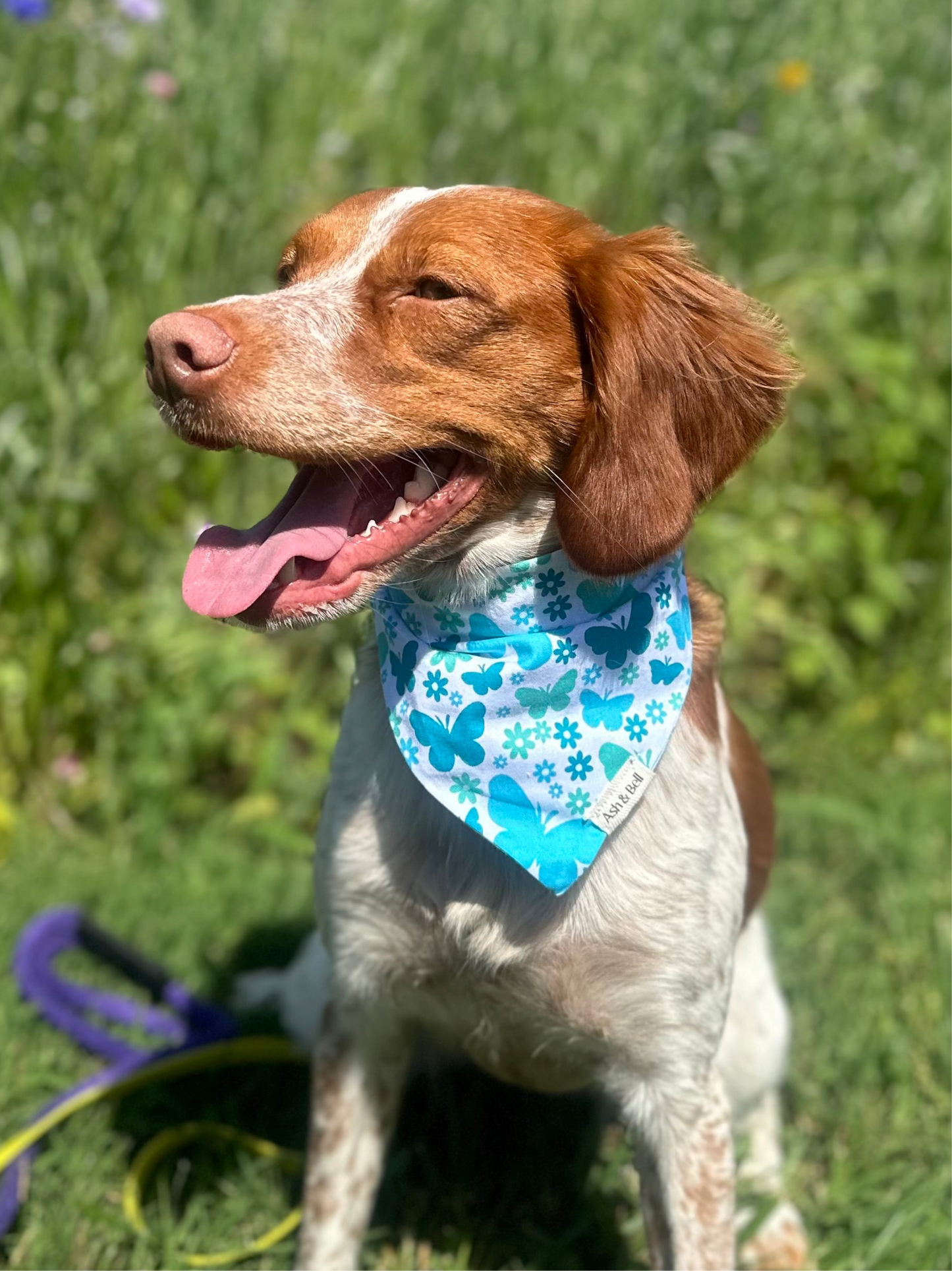 Blue Butterfly -Scrunchie Pet Bandana