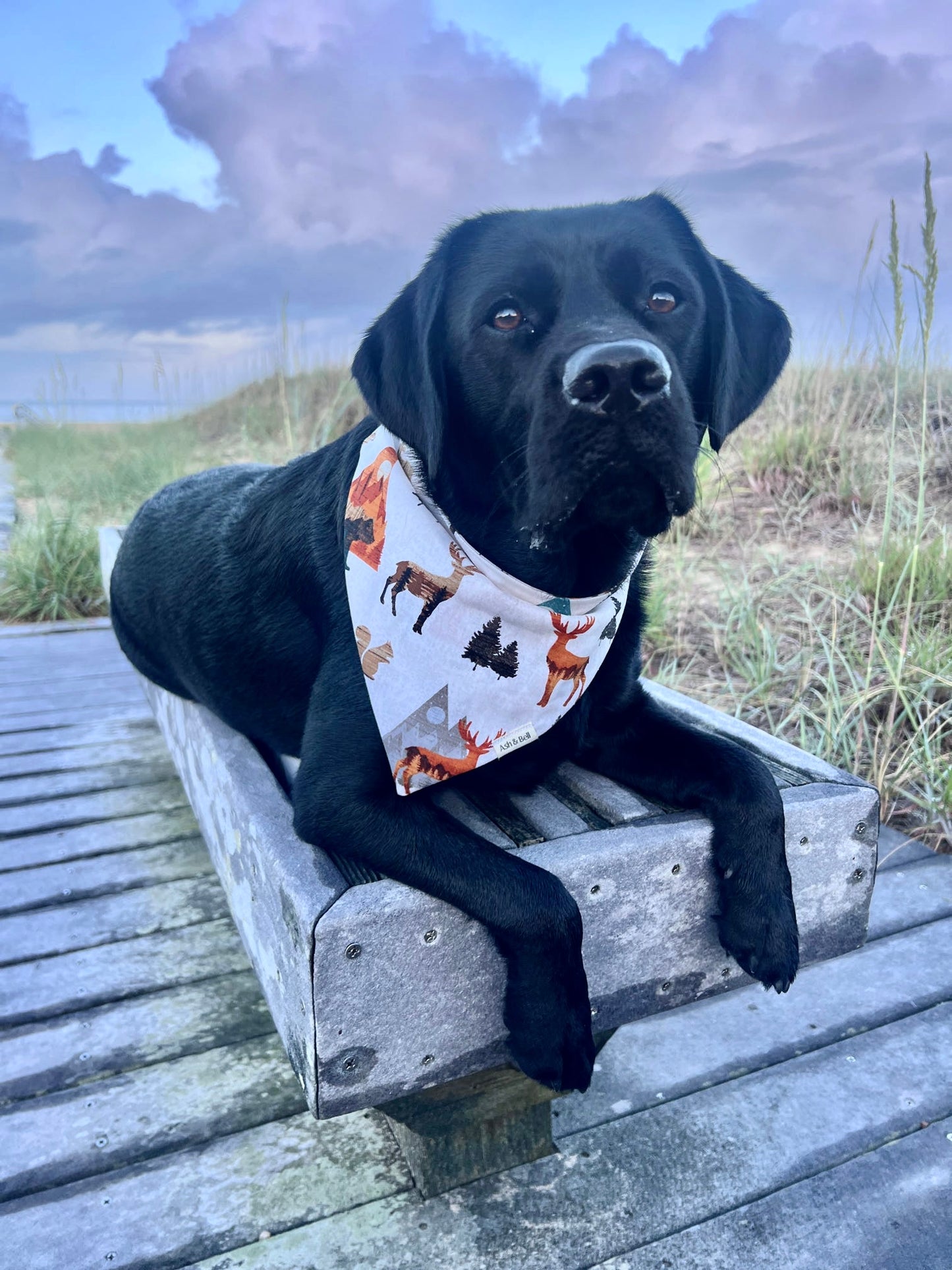 Mountain Wildlife- Scrunchie Bandana