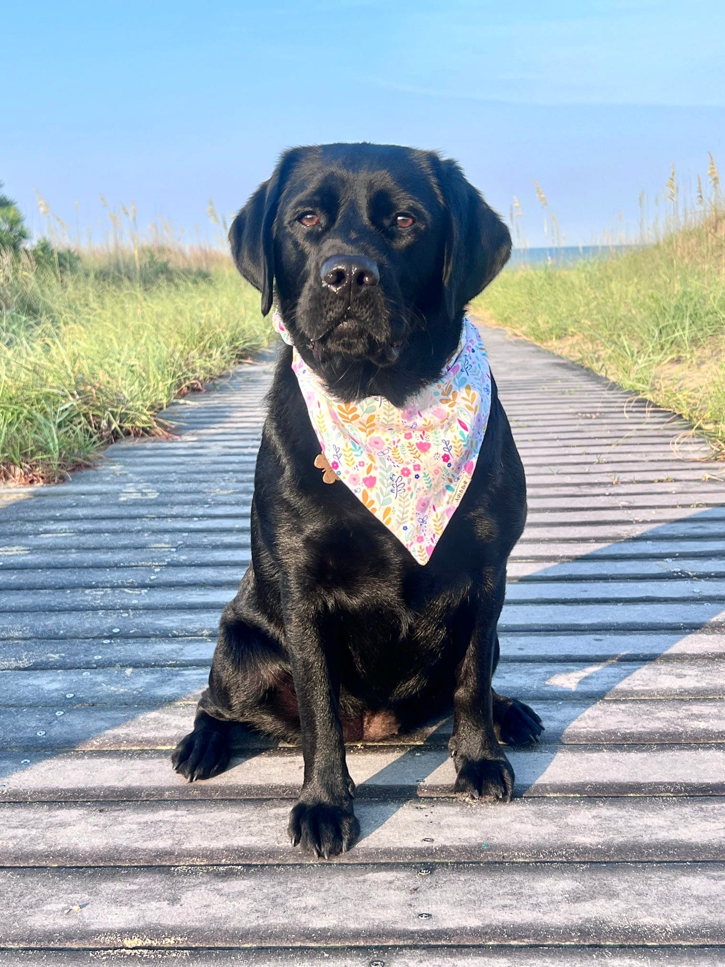 Pastel Wildflowers- Scrunchie Bandana