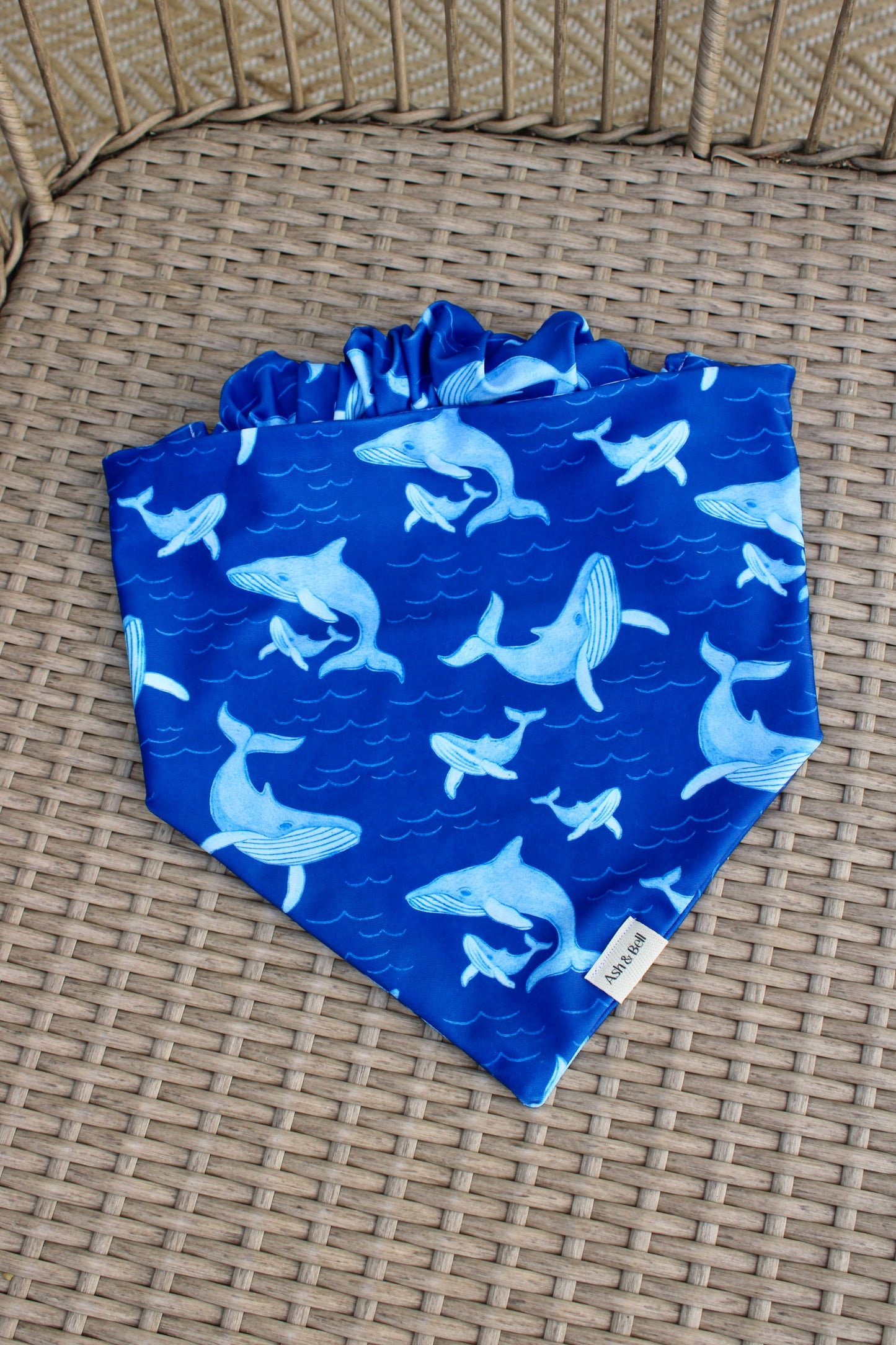Scrunchie Water-Dana in Blue Whales