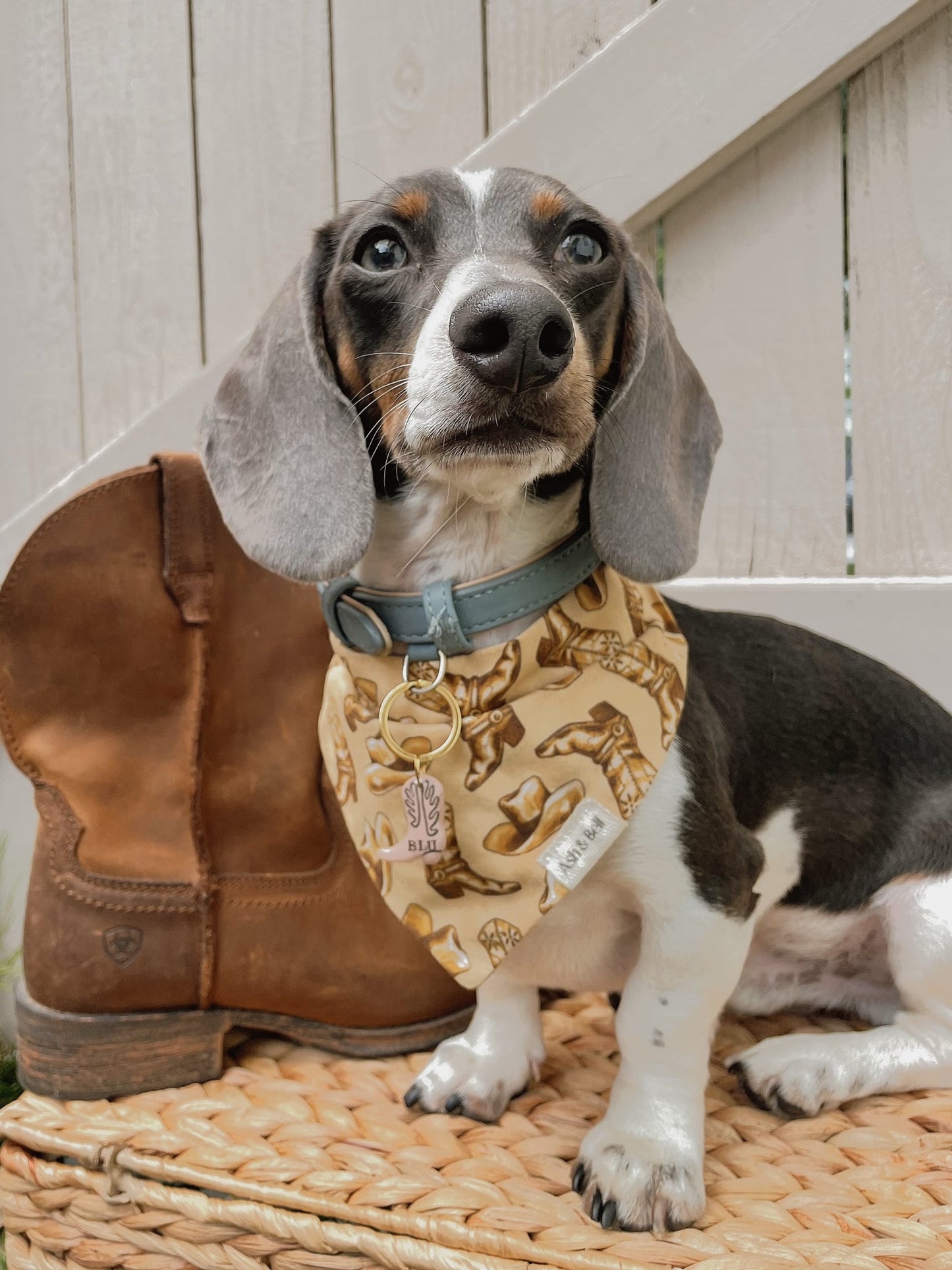 Western Cowboy- Scrunchie Bandana