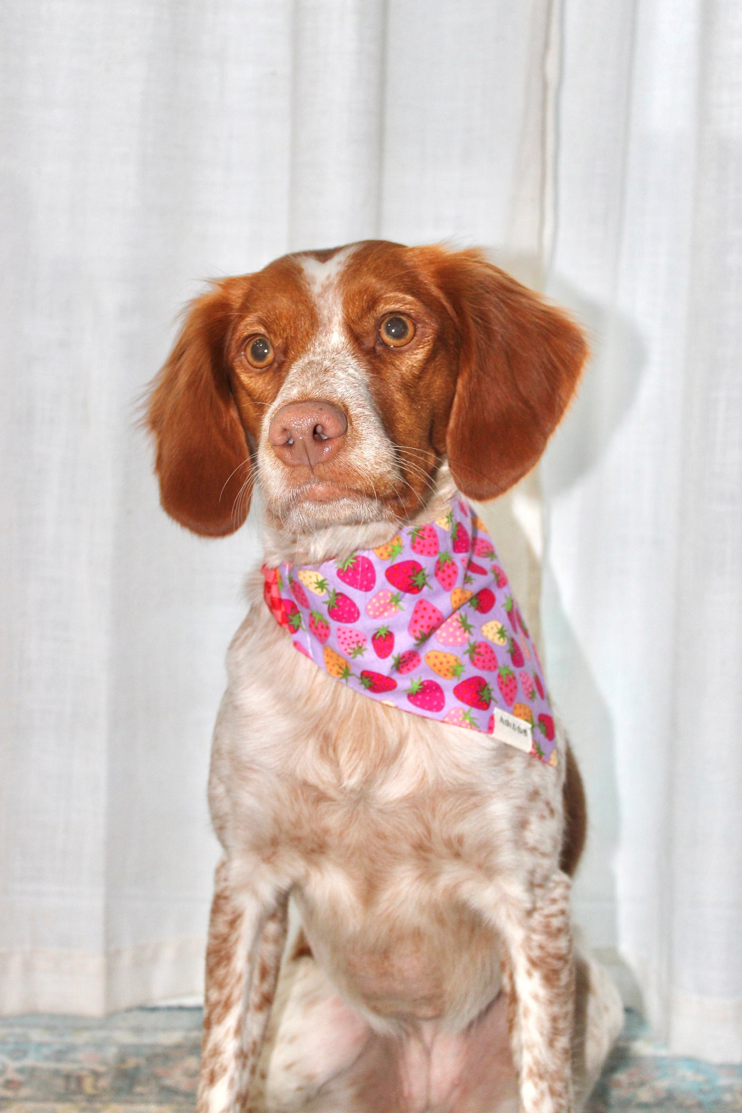 Purple Strawberries & Red Checkers Reversible Scrunchie Pet Bandana