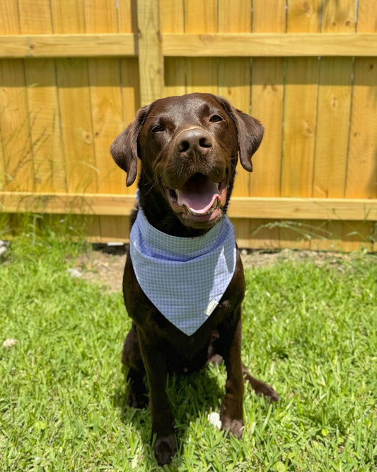 Purple Plaid-Scrunchie Pet Bandana