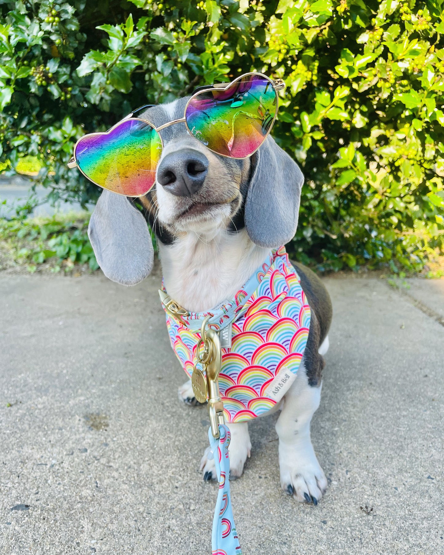 Rainbow Pride-Scrunchie Pet Bandana