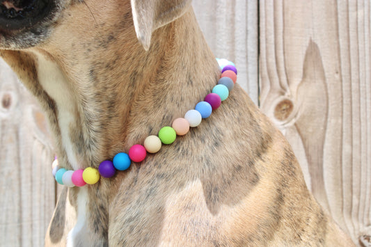Beaded Pet Necklaces