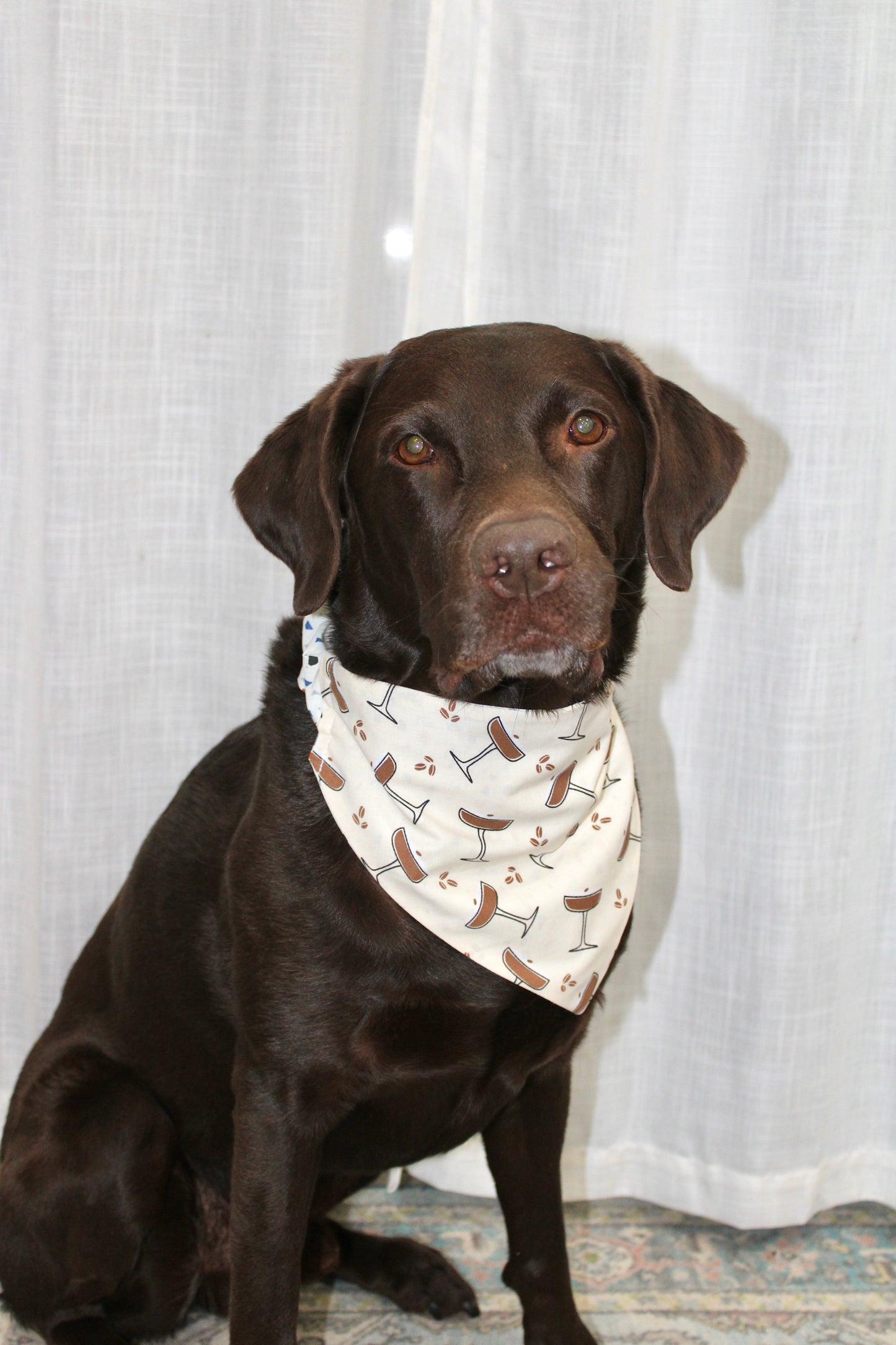Espresso Martini Reversible Scrunchie Pet Bandana
