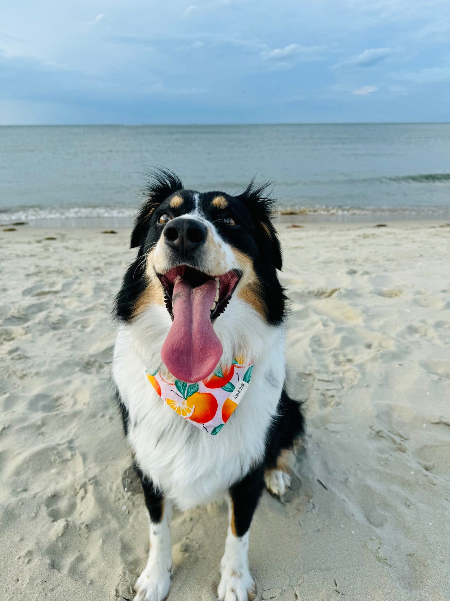 Orange Crush Scrunchie Bandana