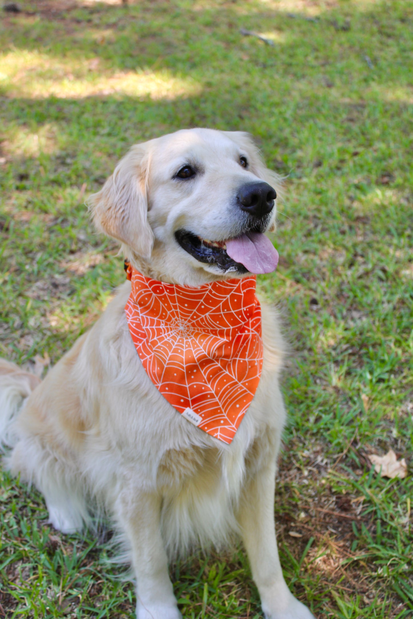 Glow in the Dark Kitties and Spiderwebs Reversible Scrunchie Pet Bandana