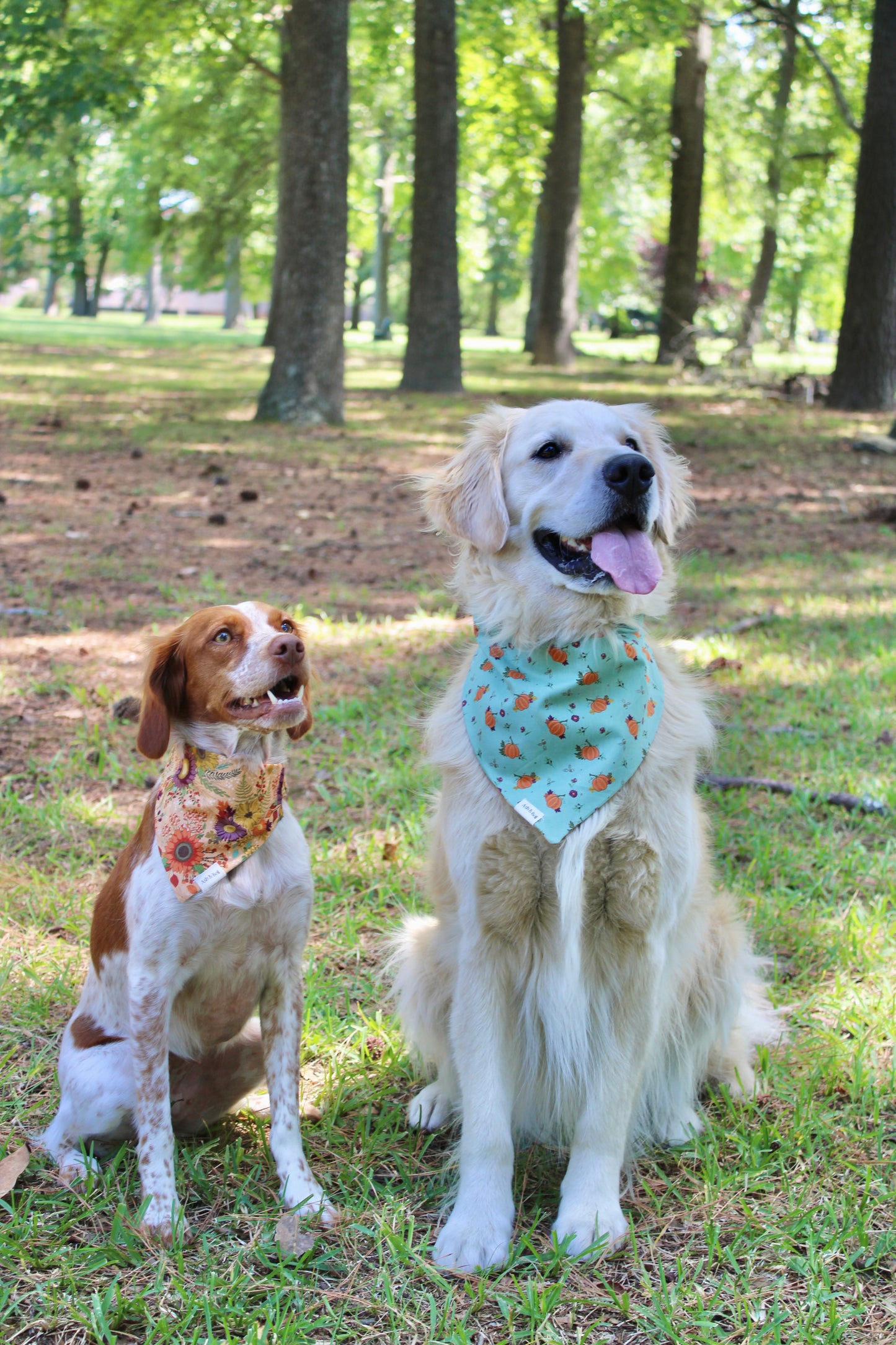 Teal Pumpkins and Harvest Flowers Reversible Scrunchie Pet Bandana