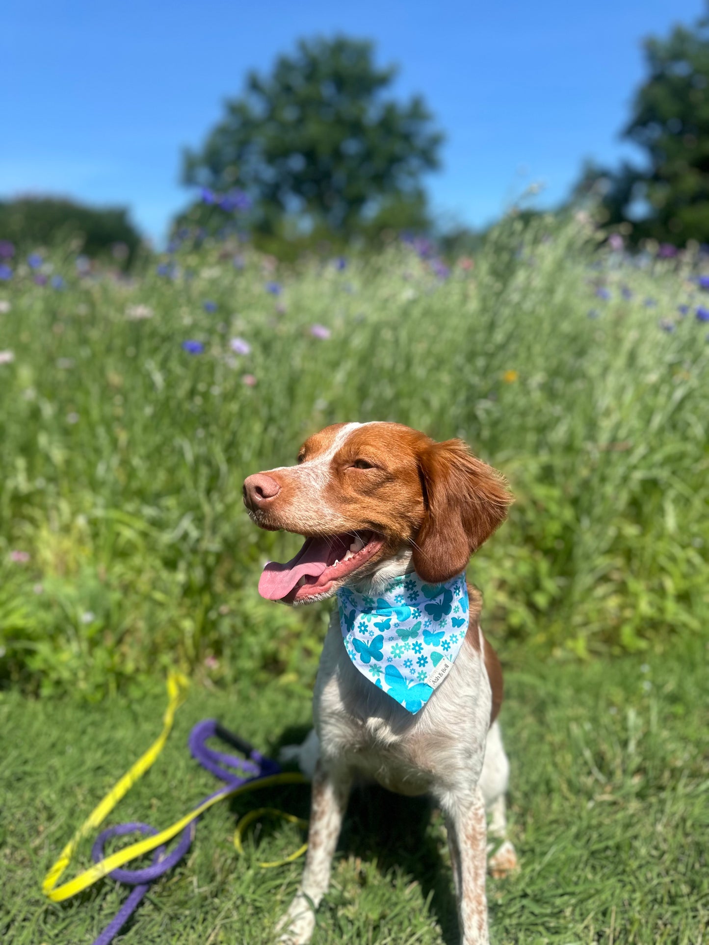 Blue Butterfly -Scrunchie Pet Bandana