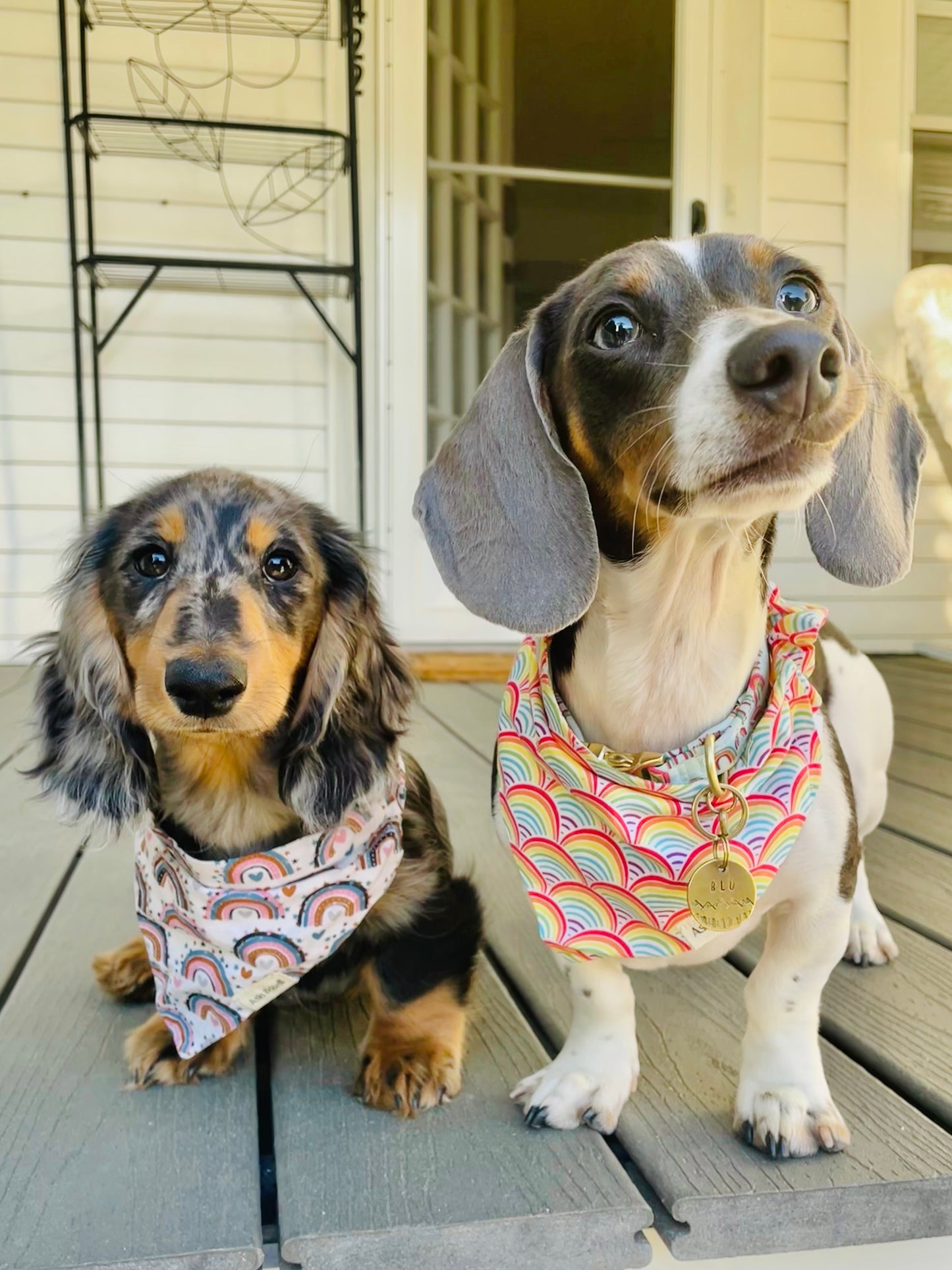 Boho Rainbow Pride-Scrunchie Pet Bandana