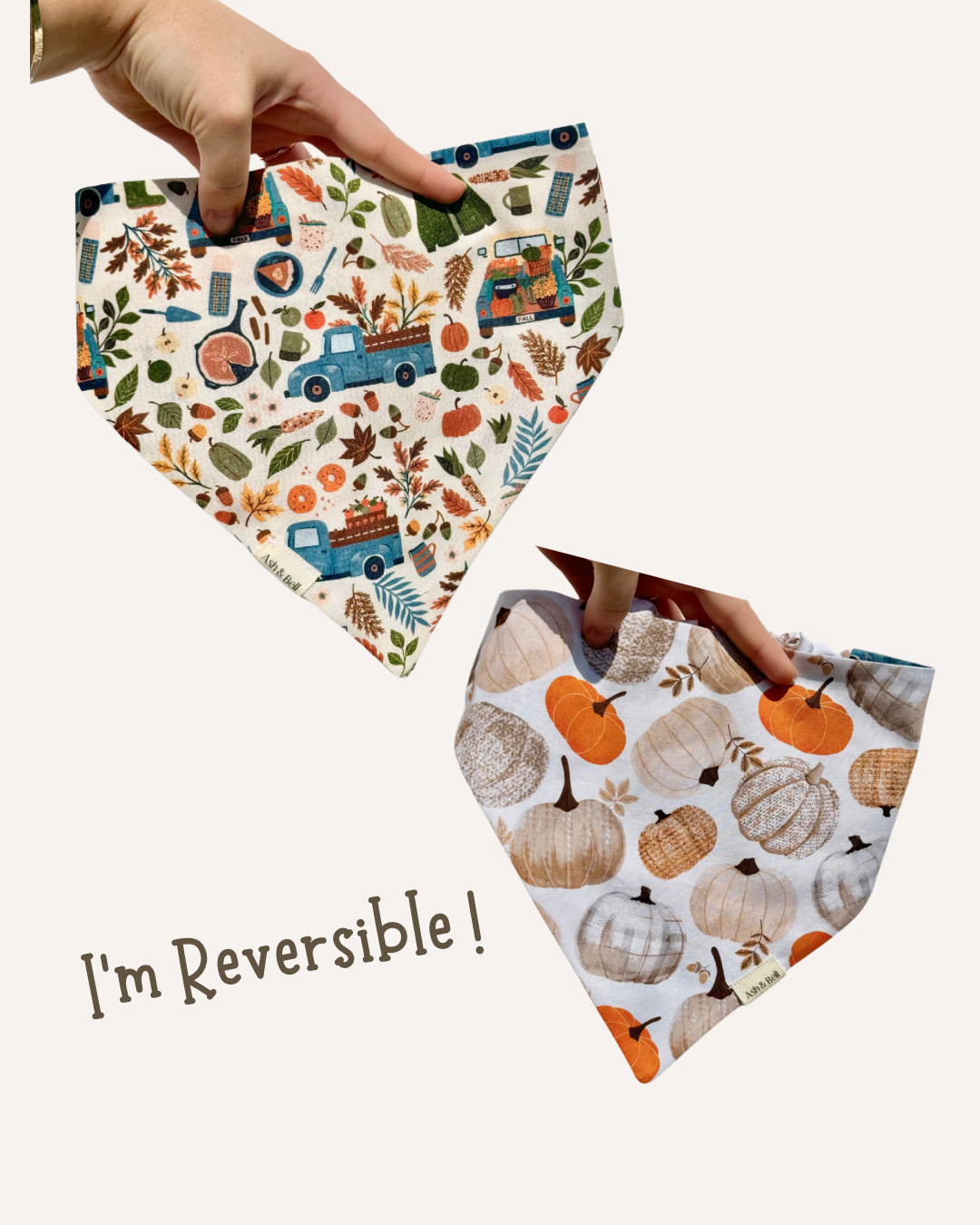 Reversible Pumpkin Harvest-Scrunchie Bandana